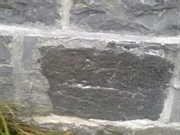 millstreet 10340.jpg